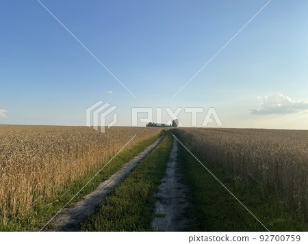 Panoramic view of the golden wheat field in summer. Wheat field on a sunny day. A path in a wheat field. Panoramic view of the golden wheat field in summer. Wheat field on a sunny day. A path in a wheat field. 92700759