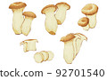 King oyster mushroom watercolor 92701540