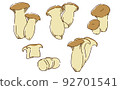 King oyster mushroom hand-drawn style 92701541