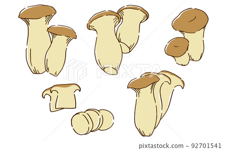King oyster mushroom hand-drawn style 92701541