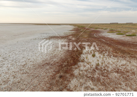 The shore of a dried salt lake in the steppe of Kazakhstan. Grass grows in the sand on the shore. Drought and climate change. The shore of a dried salt lake in the steppe of Kazakhstan. Grass grows in the sand on the shore. Drought and climate change. 92701771