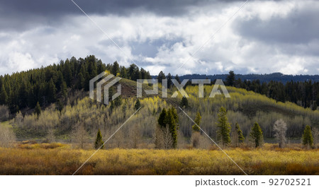 Trees, Land and Mountains in American Landscape. Grand Teton National Park 92702521