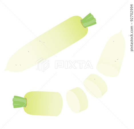 蔬菜插圖蘿蔔及其橫截面 蔬菜插圖蘿蔔及其橫截面 92702994