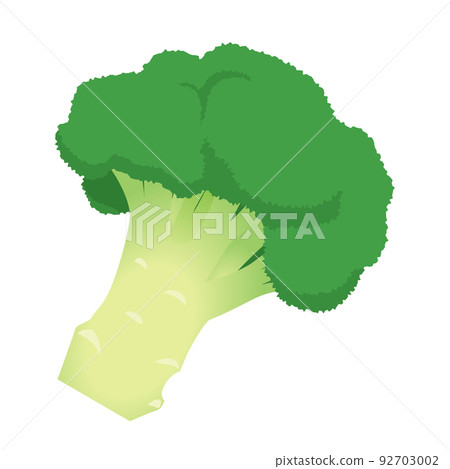 Vegetable illustration 1 stick of broccoli 92703002