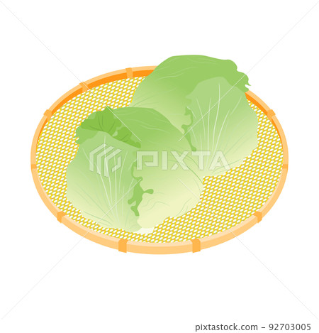 Vegetable illustration lettuce in a basket 92703005