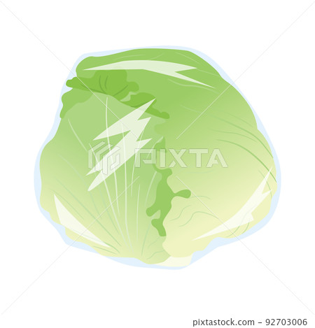 Vegetable illustration Lettuce wrapped in plastic 92703006