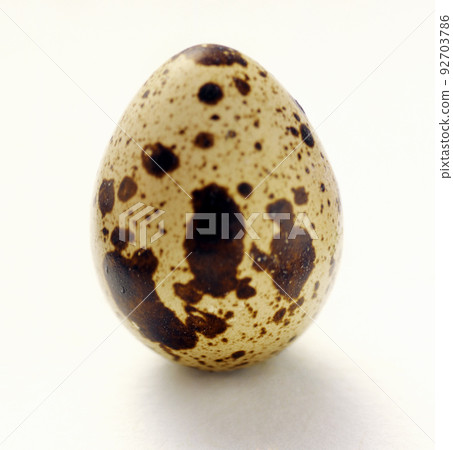 One quail egg. Isolated on white background One quail egg. Isolated on white background 92703786