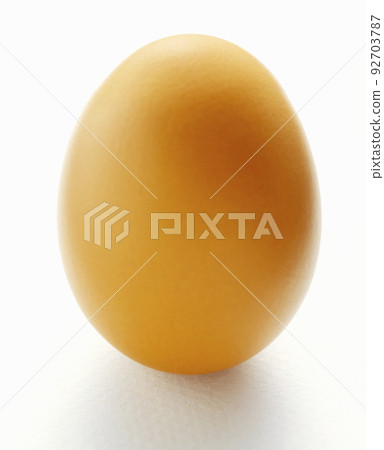 Brown egg on white background Brown egg on white background 92703787
