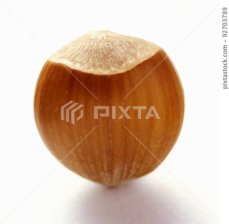 Acorn Acorn 92703789