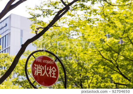 綠意盎然的仙台市容 綠意盎然的仙台市容 92704650