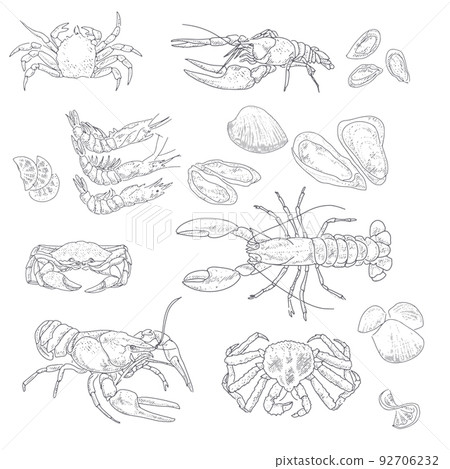 Seafood and fish in vintage style 92706232