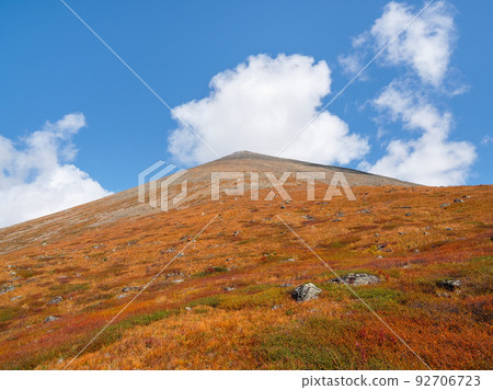 Conical autumn slope. Bright red autumn mountain slope. Vivid foliage scenery with red dwarf birch hills in sunlight. Minimalistic landscape with Altai Mountains. 92706723