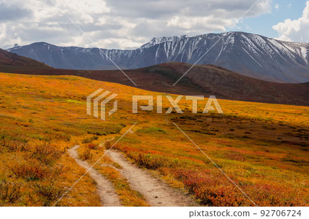 Bright sunny autumn landscape with sunlit gold valley and winding trail through dwarf birch on mountainside under dramatic sky. Awesome alpine scenery with beautiful mountains in golden sunshine. Bright sunny autumn landscape with sunlit gold valley and winding trail through dwarf birch on mountainside under dramatic sky. Awesome alpine scenery with beautiful mountains in golden sunshine. 92706724