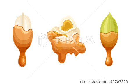 Popcorn and Pistachio with Dripping Chocolate or Caramel Melting Liquid Vector Set 92707803