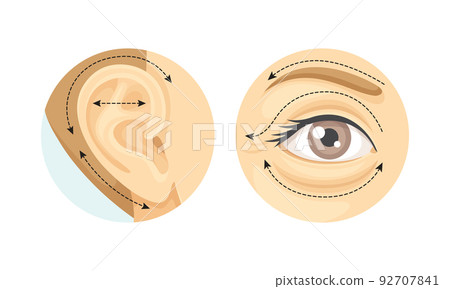 Plastic Surgery as Restoration and Reconstruction of Human Ear and Eyelid in Circle Vector Set Plastic Surgery as Restoration and Reconstruction of Human Ear and Eyelid in Circle Vector Set 92707841