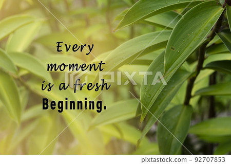 Motivational quote with fresh green nature and blurred leaf background. Motivational quote with fresh green nature and blurred leaf background. 92707853