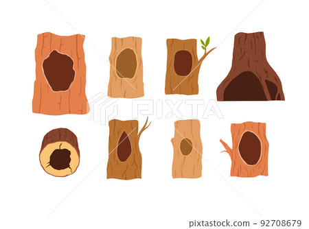 Hollow, a hole in a tree, a set of illustrations on a white background, a vector flat. 92708679