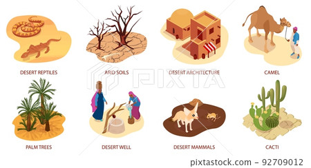Desert Isometric Compositions 92709012