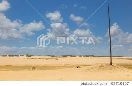 Palm trees and sand dunes at Sao Francisco river mouth, in Alagoas, Brazil Palm trees and sand dunes at Sao Francisco river mouth, in Alagoas, Brazil 92710107