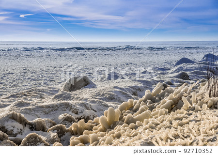 Ice accretion and floating ice on reeds along the shore of Markermeer, Netherlands 92710352