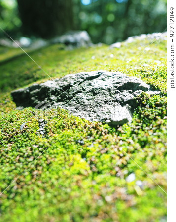 Rock with moss 92712049