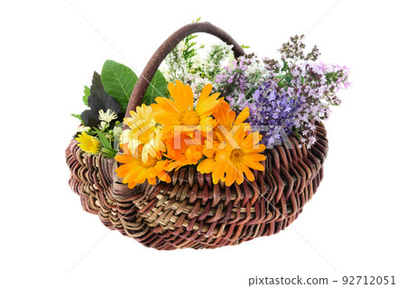 Basket full of healthy fresh medicinal herbs, isolated on white. Calendula, lavender, oregano, balm mint, melissa flowers. Alternative herbal medicine. 92712051