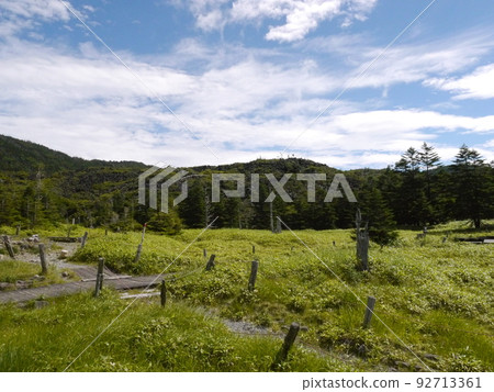 Shimagare Sanso附近的遠足徑 92713361