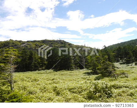 Shimagare Sanso附近的遠足徑 Shimagare Sanso附近的遠足徑 92713363