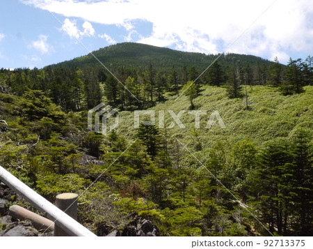 Take a walk in the courtyard (Northern Yatsugatake Ropeway) Take a walk in the courtyard (Northern Yatsugatake Ropeway) 92713375