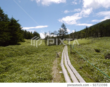 Walk around the courtyard (near Shimagare Sanso, towards Ameike) 92713398