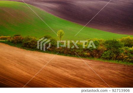 Rural spring landscape 92713906