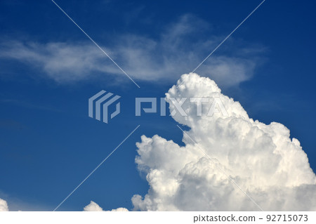 鳶尾雲漂浮在夏日的天空 鳶尾雲漂浮在夏日的天空 92715073