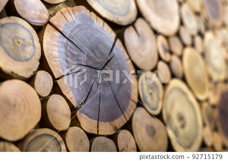 Perspective view of round wooden unpainted solid natural ecological soft colored brown and yellow crackled stumps background, tree cut sections with annual rings different sizes,background texture. Perspective view of round wooden unpainted solid natural ecological soft colored brown and yellow crackled stumps background, tree cut sections with annual rings different sizes,background texture. 92715179
