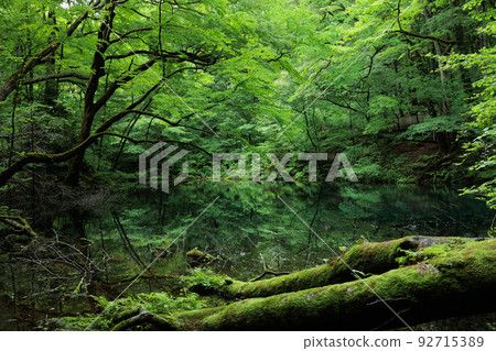 陰天下的二子脅壺池(青森縣深浦町) 陰天下的二子脅壺池(青森縣深浦町) 92715389