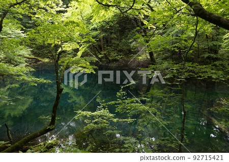 陰天下的二子脅壺池（青森縣深浦町） 92715421