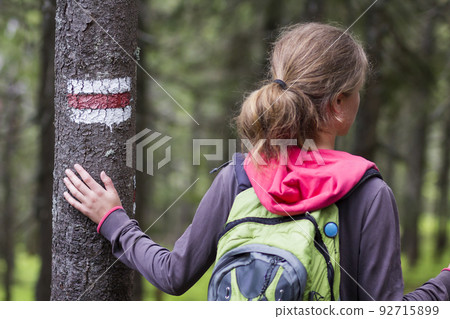 Back view of slim tourist hiker girl with stick and backpack holding hand on pine tree trunk with way sign in lit by sun mountain forest. Tourism, traveling, hiking and healthy lifestyle concept. 92715899