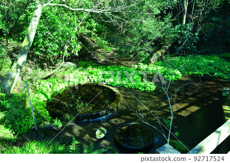 Spring water in Kakita River Park (Sunto District, Shizuoka Prefecture) Spring water in Kakita River Park (Sunto District, Shizuoka Prefecture) 92717524