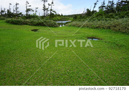 Summer Hachimantai is a flower garden Wetland 92718170