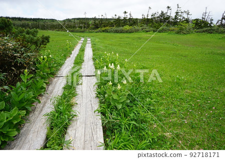 Summer Hachimantai is a flower garden Wetland 92718171