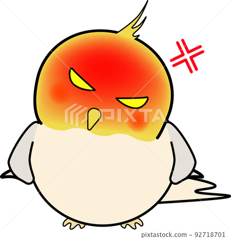 angry cute cockatiel 92718701