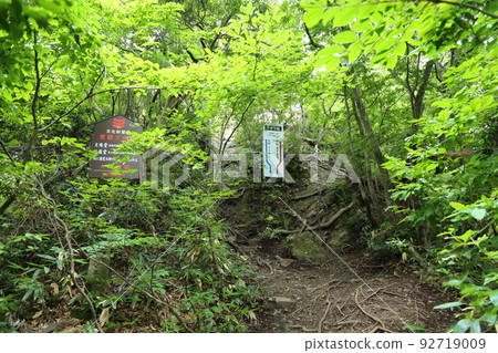 三德山三佛寺搖動堂參拜山道[鳥取縣三朝市三德] 92719009