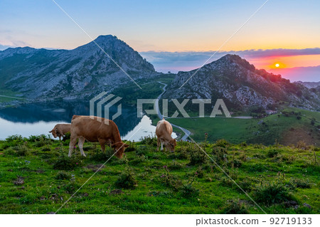 Highland pastures of Covadonga at sunset 92719133
