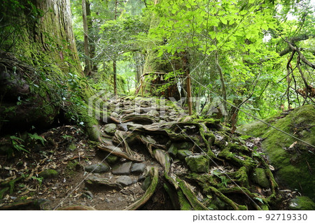 三德山三佛寺搖動堂參拜山道[鳥取縣三朝市三德] 92719330