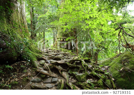 Mt. Mitoku Sanbutsuji Nageiredo Pilgrimage Mountain Trail [Santoku, Misasa Town, Tottori Prefecture] 92719331