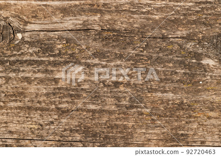 Texture natural wood vintage background. Photo of old tree trunk with cracks. Texture natural wood vintage background. Photo of old tree trunk with cracks. 92720463