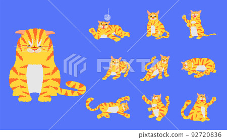 set of the lovely yellow and orange striped cat flop and playing activity on pastel blue color background. vector illustration eps10 92720836