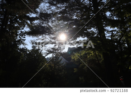 一幅黑暗森林的風景照，重點是藍天、山門和陽光。 92721188