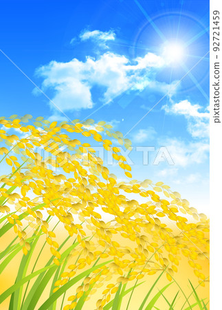 US rice fall fall background 92721459