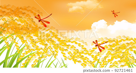 Red dragonfly rice background 92721461