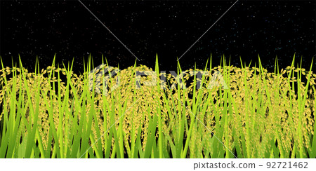 US rice fall fall background US rice fall fall background 92721462